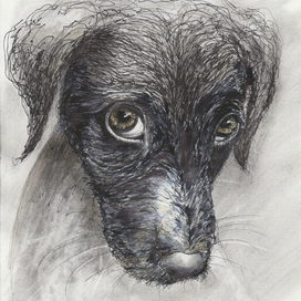 это не моя вина...