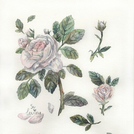 Я и мой совершенный цветок из детства