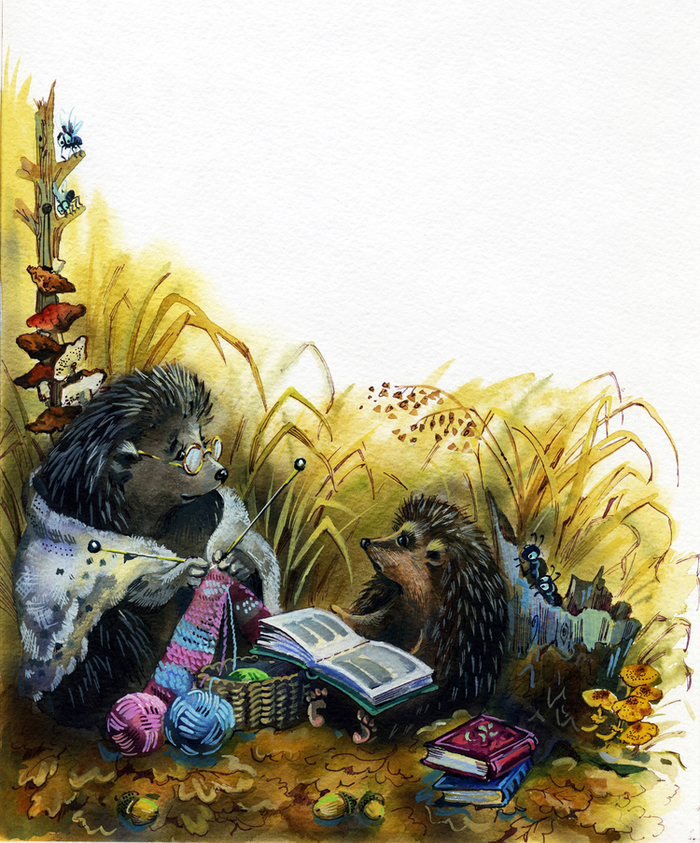 Истории про ёжика