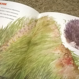 Е. Родченкова "Танечка и Бабочка" детские стихи