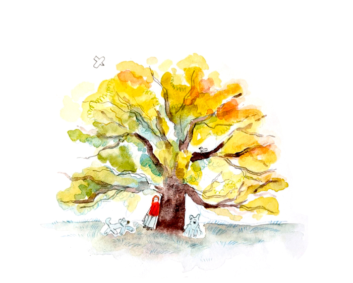 Наши прогулки в поле 