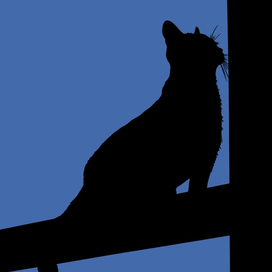 девочка моя