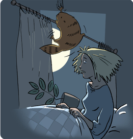 Ночные приключения