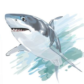 Акула. Принт на футболку.