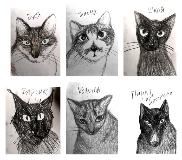 банда из Кологрива