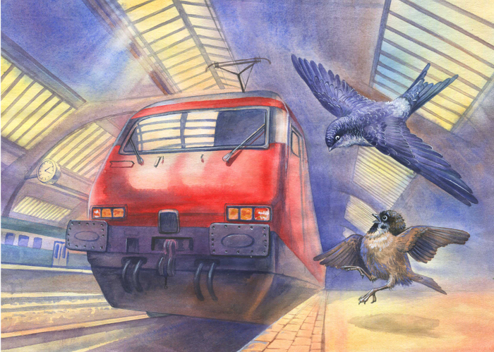 Птицы на вокзале