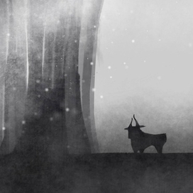 from the collection "Burning Forest"