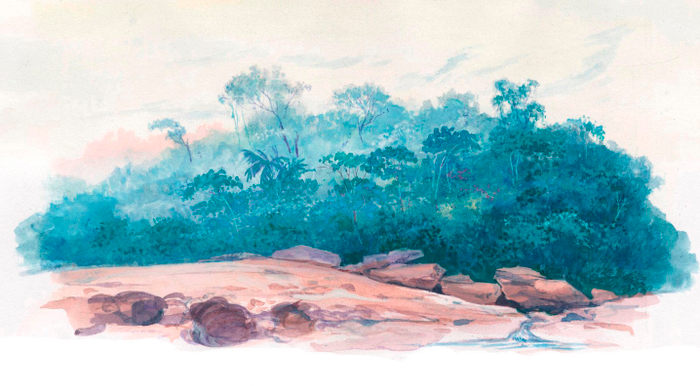 Ещё к книге о Джунглях (2)