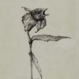 в этом году птицы завянут