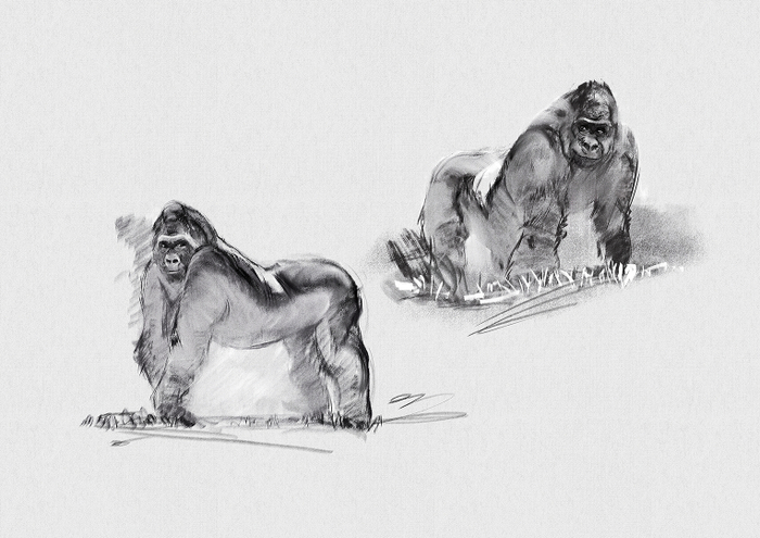 Наброски-разминки энималс