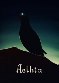 Aethia