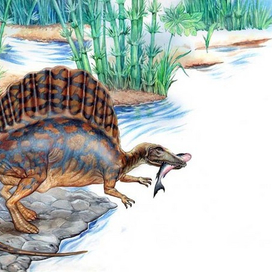 Спинозавр-динозавр