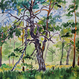 Горный Алтай. Село Камлак