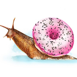 Улитка-пончик