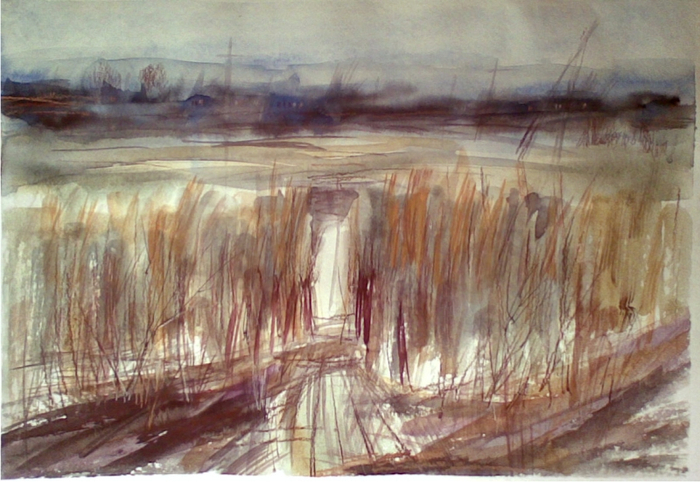 Путь домой. Половодье