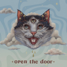 Психоделический кот