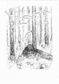 Муравейник