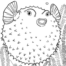 Морские обитатели, раскраски 
