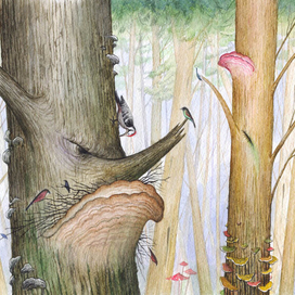 "Лясун i Лесавiха" Мифология Беларуси