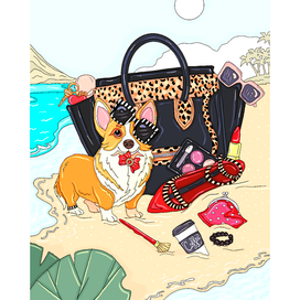 Корги модник