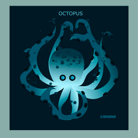 Octopus