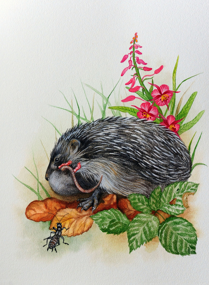 Удачная охота