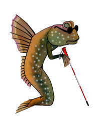 Слепой илистый прыгун