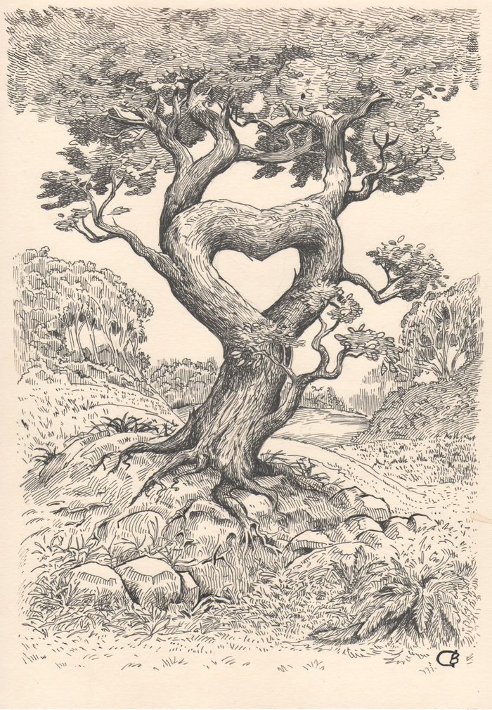 сердцедерево