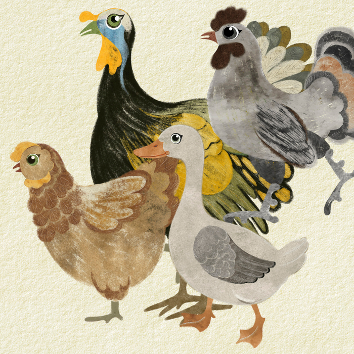 Домашние птицы