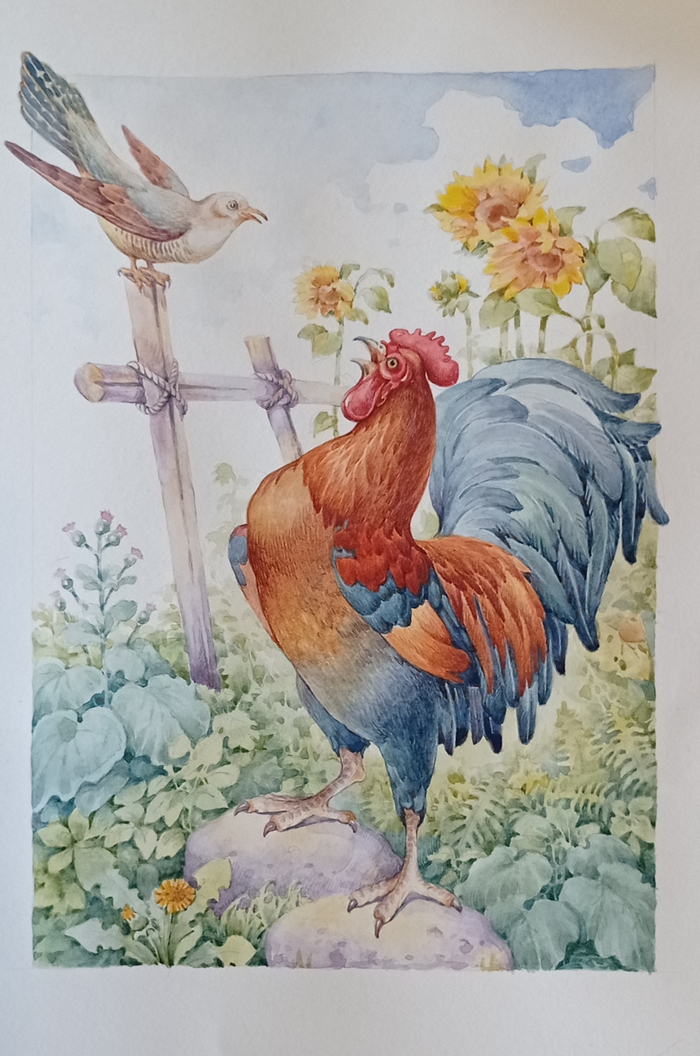 Кукушка и петух