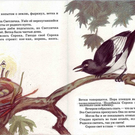 сорока и светличка