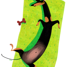 Спящая такса