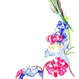 Жюль Верн Курьер царя, ирисы лилии