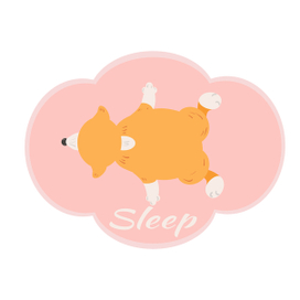 Sleep