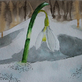 Подснежник