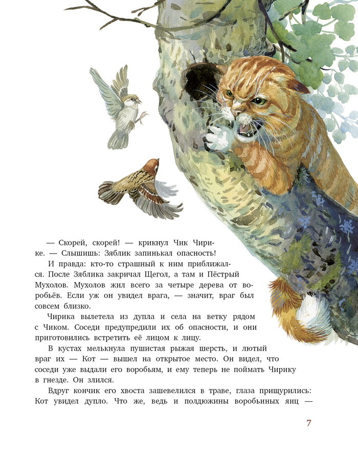 Кот лезет в дупло осины