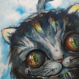 Чеширский кот