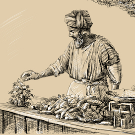 Продавец редиса