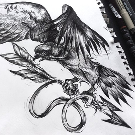 Птица воина 