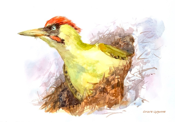 Муравьиный царь