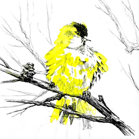 44 веселых чижа