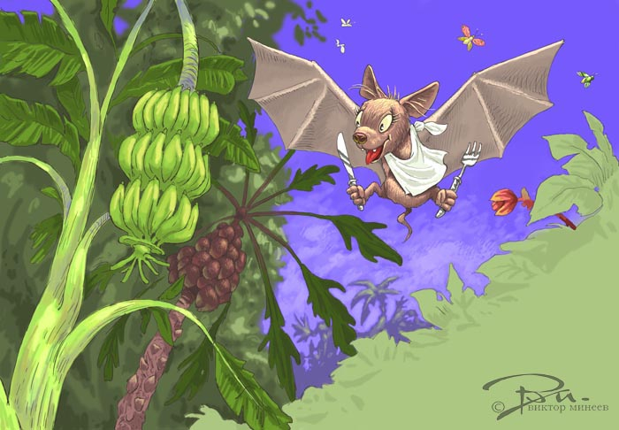 летучая мышь 5