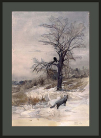 Белая кошка , Чёрный кот