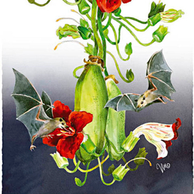 &quot;колбасное&quot; дерево