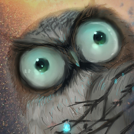 "Волшебная сова"