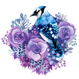 Blue Jay