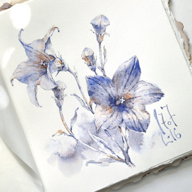 Колокольчики