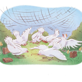 Голубки попались