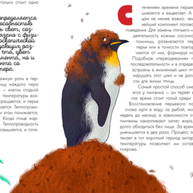 Иллюстрация к книге "Птицы. Биология. Физиология"