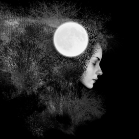  «Сны Лилит» (Оформление обложки)